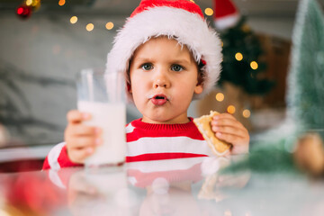 Cute toddler boy in a Santa hat drinks milk and eats cookies in the kitchen with a decor for Christmas. Holidays, Traditions, baby food and health concept.