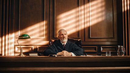 Cinematic Court of Law and Justice Trial: Portrait of Impartial Male Judge Listening To the Pleaded...
