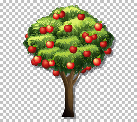 Apple tree on transparent background