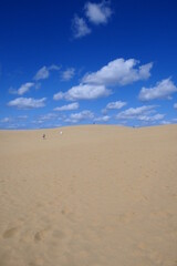 山陰海岸国立公園、鳥取砂丘。鳥取、日本。10月中旬。