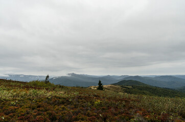 Bieszczady z Bukowego Berda 