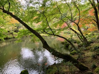 成田山新勝寺の秋の風景