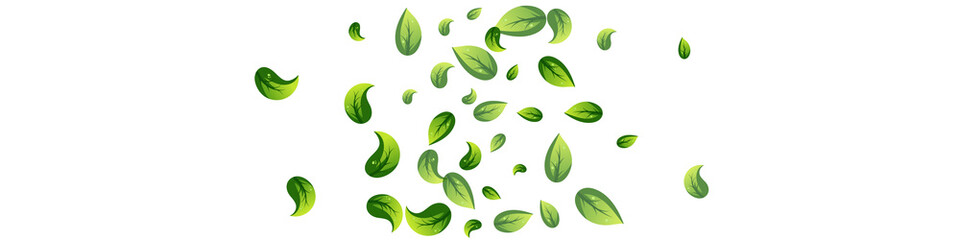 Grassy Leaf Ecology Vector Panoramic White