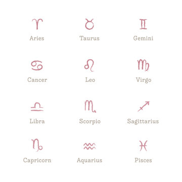 Set of Zodiac Signs symbols Vector Image Rose Brush