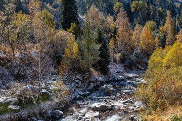Mountain river and mixed autumn forest after the first snow
