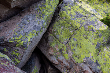 Kamienie pokryte zielonymi porostami