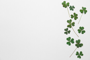 Beautiful clover on white background, top view