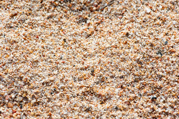 River sand close up, selective focus. Natural background, sand texture