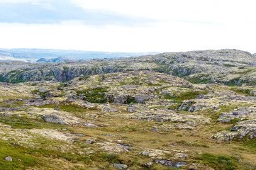 Fototapeta na wymiar Summer, mountain landscape. Hills covered with reindeer lichen. Musta-Tunturi pass, Russia, Sredny peninsula