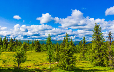 Beautiful panorama with forest mountains nature in Kvitfjell F&aring;vang Norway.