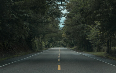 The road, the trip