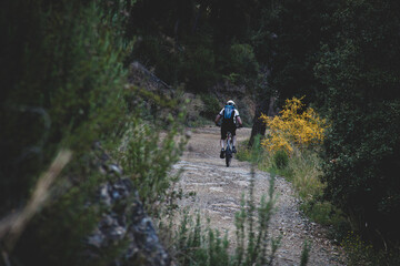Obraz premium Ciclista en el bosque naturaleza 