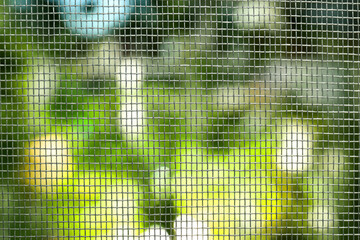 Insect screen for window against blurred background, closeup