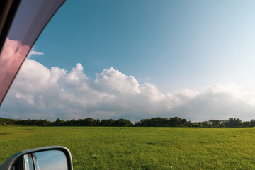 car in the field