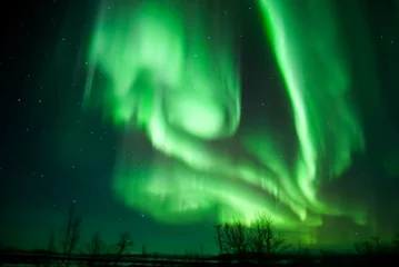 Gordijnen aurora borealis northern lights lapland  © Dimitri