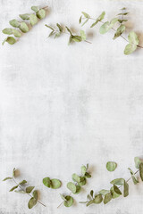 Frame floral pattern with eucalyptus leaves and branches © 279photo