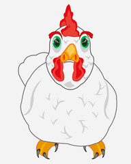Vector illustration pets hens cartoon type frontal