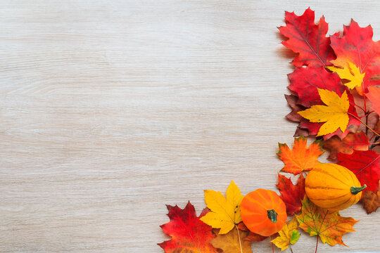 Autumn composition with colorful leaves and pumpkin on wooden background.