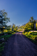 Herbstliches Ambiente auf den Höhen des Thüringer Waldes bei Ruhla - Thüringen
