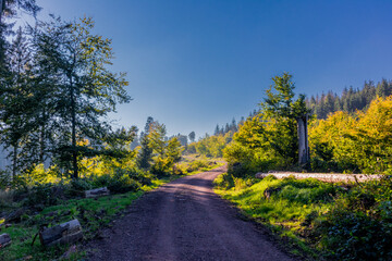 Herbstliches Ambiente auf den Höhen des Thüringer Waldes bei Ruhla - Thüringen