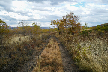 Autumn steppe landscape. Landscape in kazakhstan. Kazakh steppe. Blue sky. Yellow grass. Country road. Forest Steppe