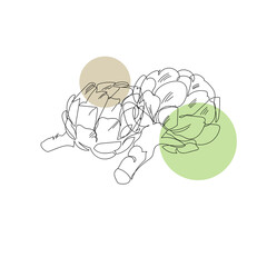 Line art vector icon with continuous line of artichokes on white background. Vector illustration design. Cook. White background. Organic food. Linear style. Healthy diet.