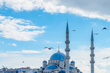 Beautiful mosque in Istanbul surrounded by seagulls