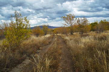 Obraz premium Autumn steppe landscape. Landscape in kazakhstan. Kazakh steppe. Blue sky. Yellow grass. Country road. Forest Steppe