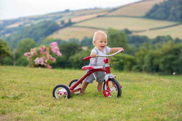 Cute toddler child, boy, playing with tricycle in backyard