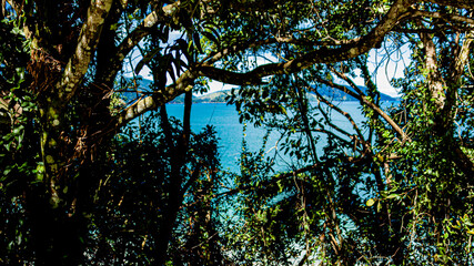 UBATUBA - SÃO PAULO - BRASIL