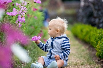 Beautiful child in amazing flower garden