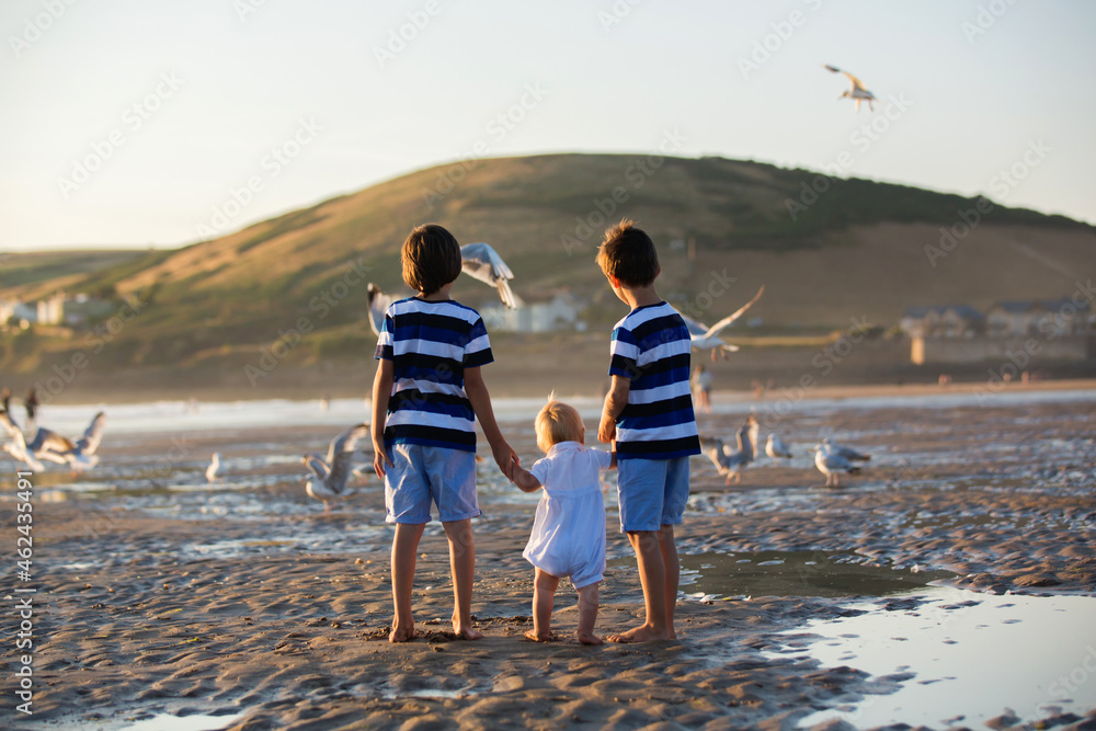 Poster Children, beautiful boy brothers, watching and feeding seagulls on the beach