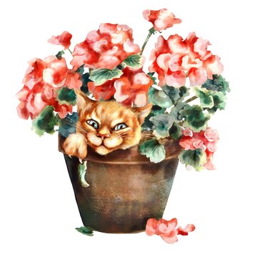 Red cat in a pot with flowers 