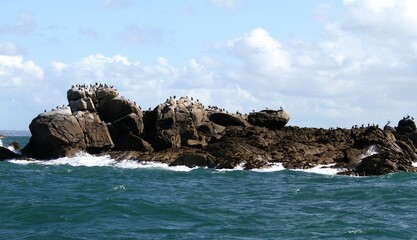 archipel des îles Chausey au large de Granville dans la Manche