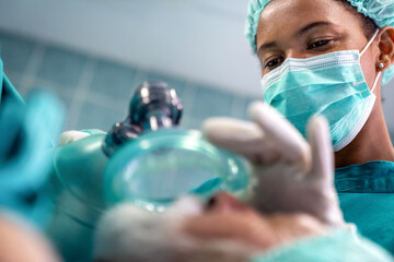 Anesthesiologist doctor anesthetized a surgical patient in hospital.