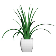 Green flower in a white pot isolated on a white background. Aloe flower. Front view. 3D. Vector illustration