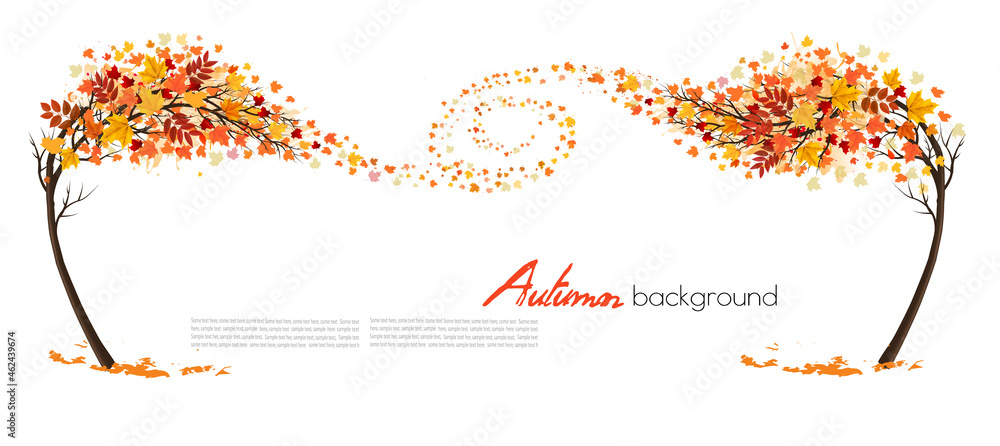 Poster Autumn absctact background with a tree and a colorful leaves. Vector.