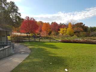 autumn in the city