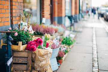 Fototapeta na wymiar flowers in pots on the street
