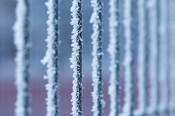 frost on the metal fence