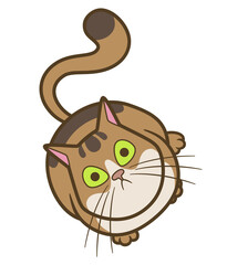 Cartoon cat looking up