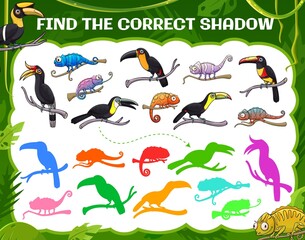 Find correct shadow of toucan and chameleon, vector kids game or tabletop riddle. Find and match same silhouette of tropical birds and exotic reptiles in jungle palms, kids cartoon board game puzzle