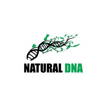 natural DNA logo design.  the combination of twigs and leaves forms a DNA note