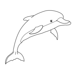 delfin saltando dibujo con líneas ilustración © palomadelosvientos