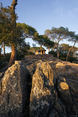 domen pedra gentil with pine forest
 and rocky ground at sunset during summer, Montnegre corridor Catalonia Spain