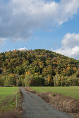 秋の林と農村のジャリ道
