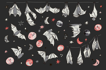 Halloween bats animals vector illustrations set
