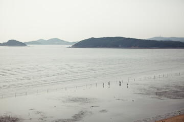 beach in the morning