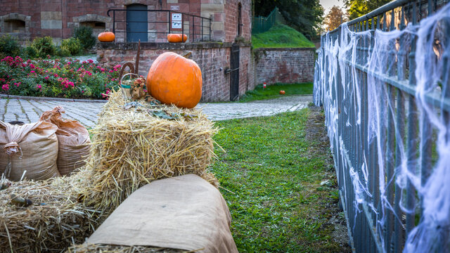Beautiful halloween decoration in the fortress park in Reichstett in France on October 2021