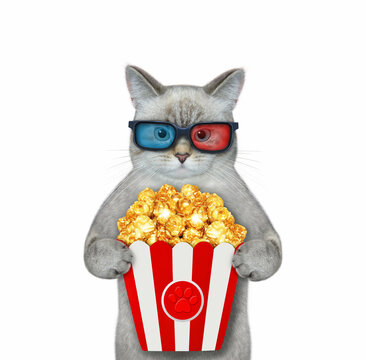 An ash cat in 3d glasses is eating popcorn and watching film. White background. Isolated.